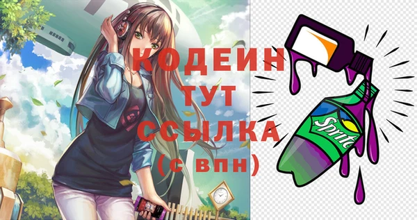 индика Ростов