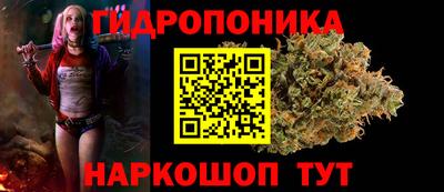 твердый Краснодар