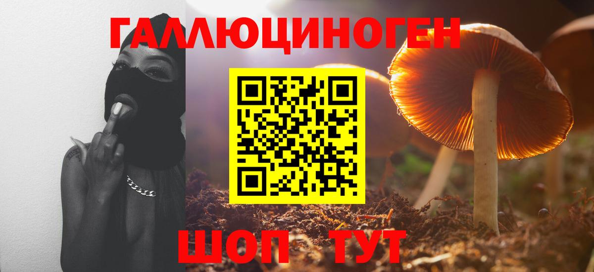 Ишимбай  Галлюциногенные грибы мухоморы  Вход с VPN 
